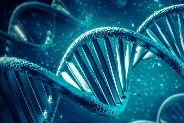 Rappresentazione del DNA 3D - Trapianto di capelli e genetica