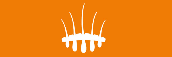 logo HST