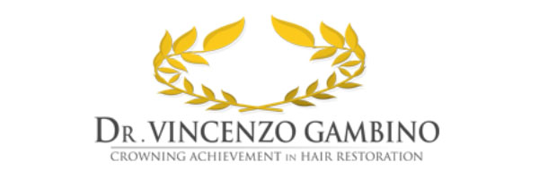 logo vincenzo gambino